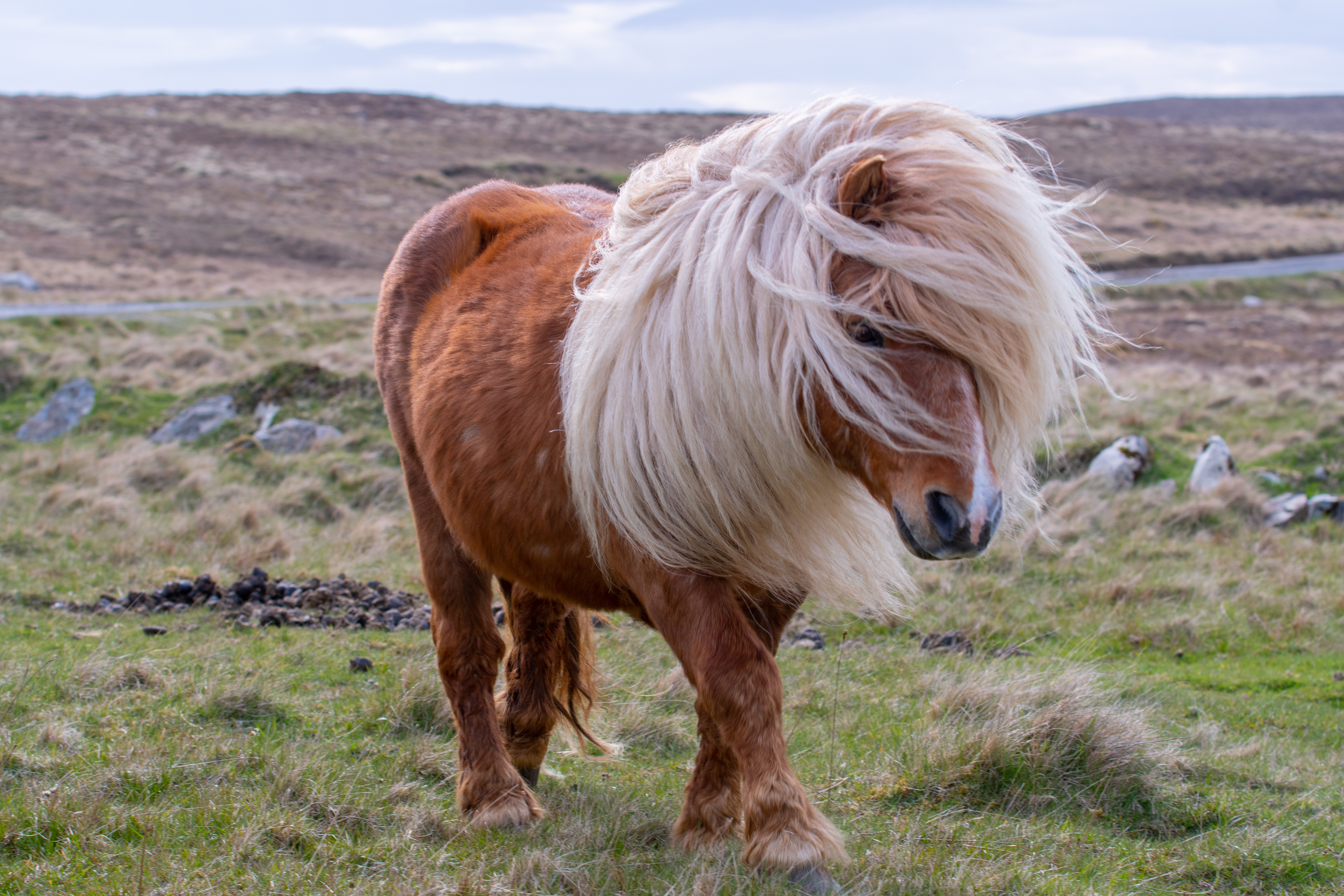 10 of the Cutest Farm Animal Photos You've Ever Seen-2