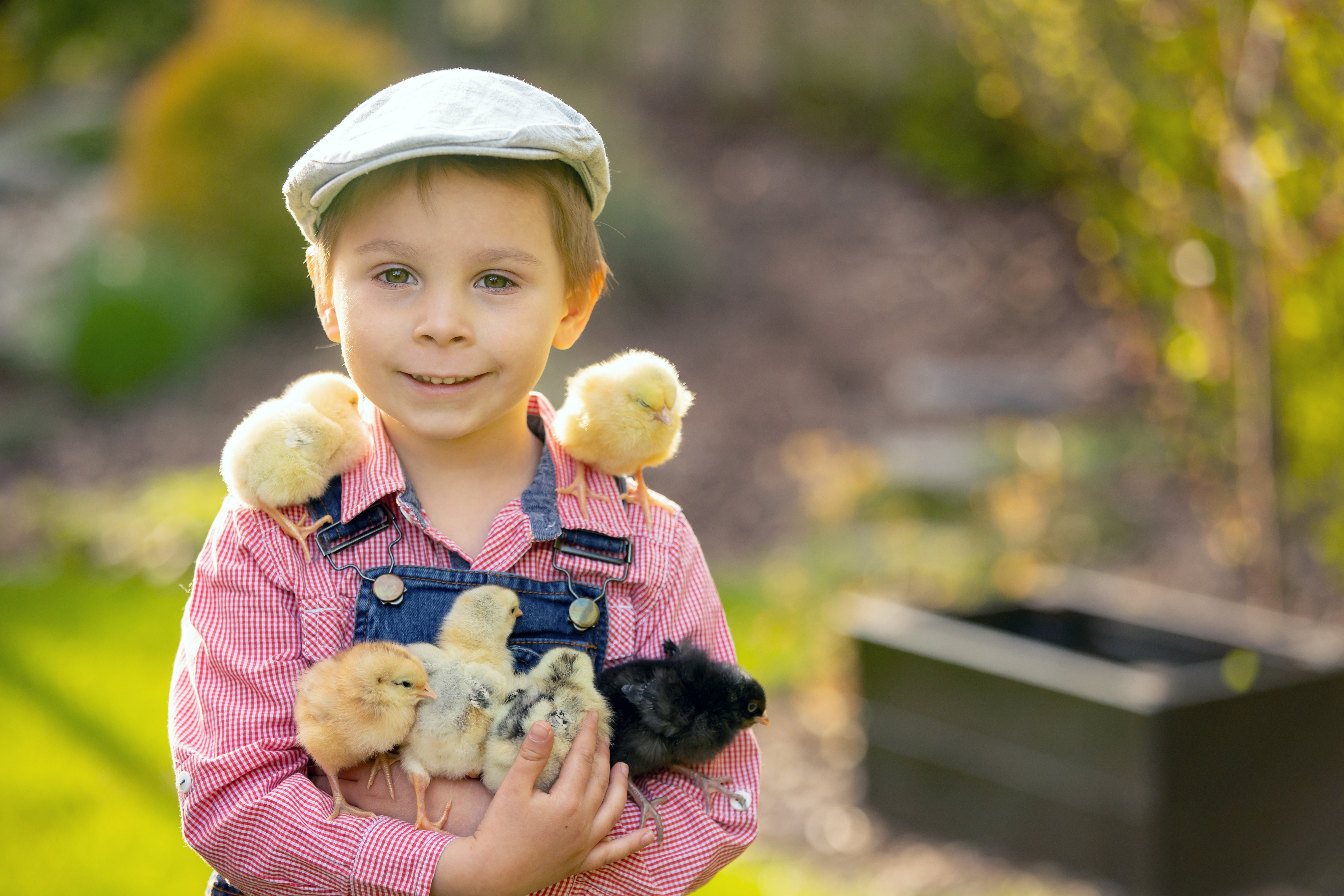 10 of the Cutest Farm Animal Photos You've Ever Seen-5