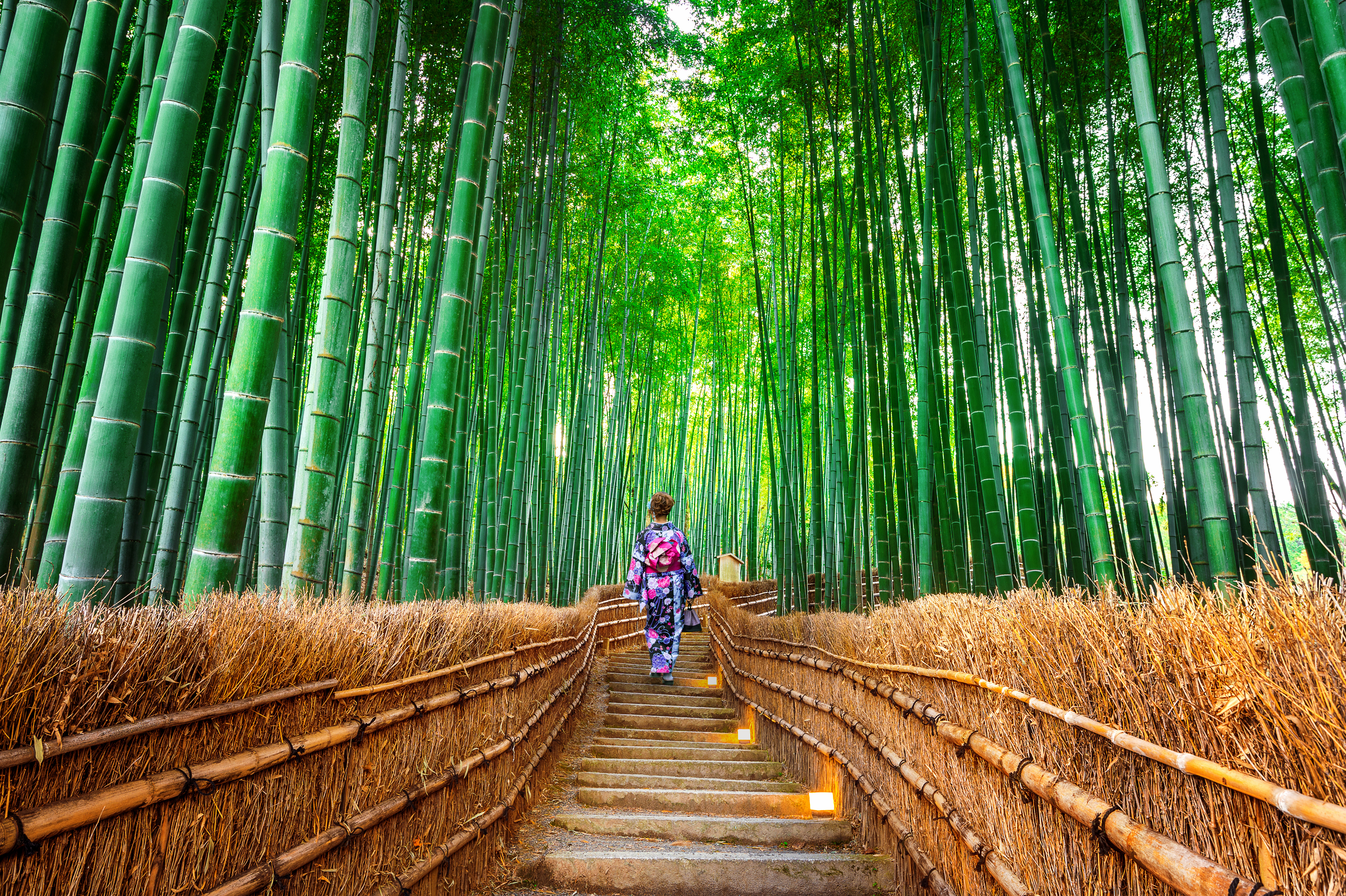 Wanderlust Wonders: 10 Picture-Perfect Places for Your Next Vacation-4