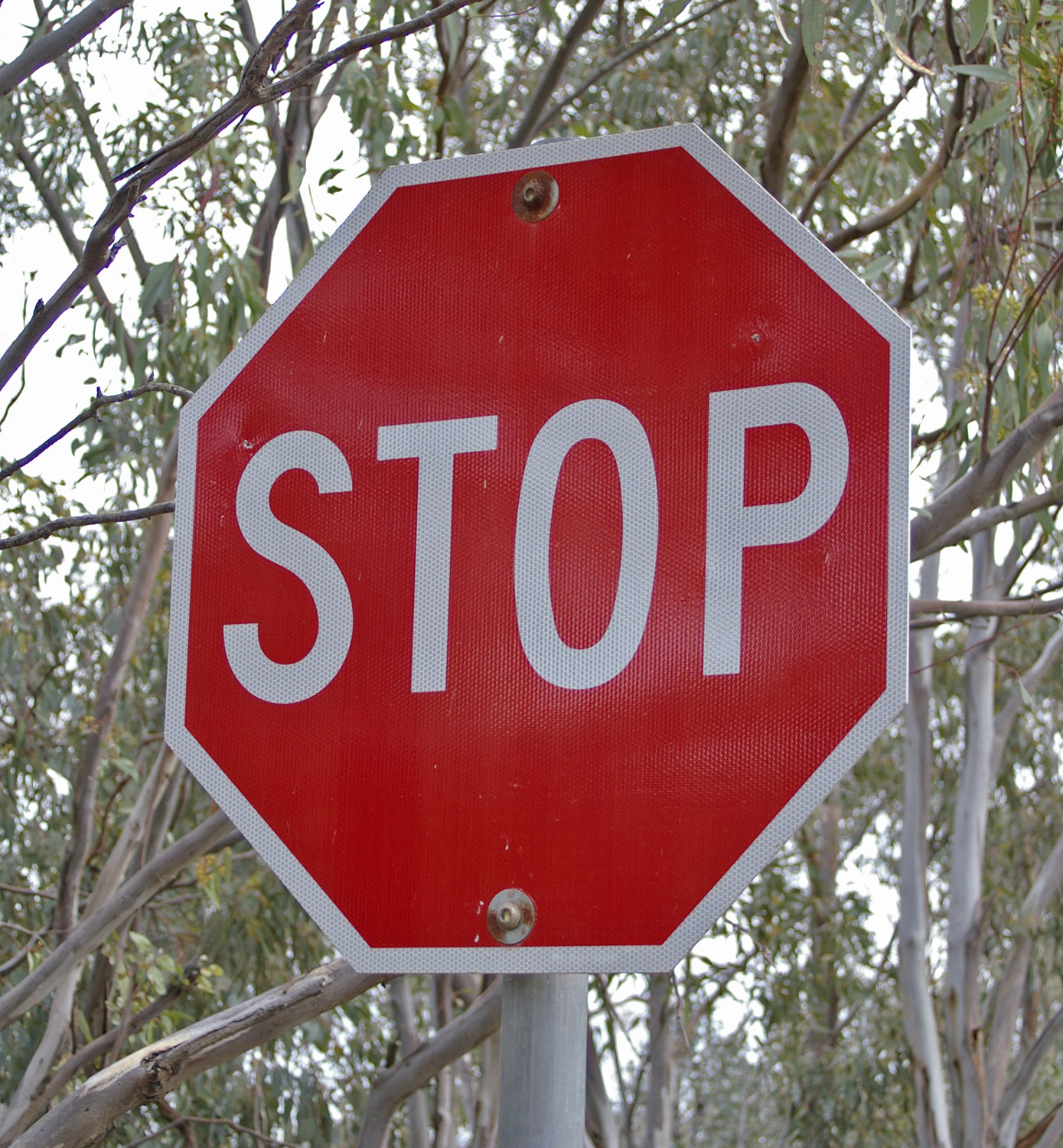 10 Most Dangerous States to Drive In-3