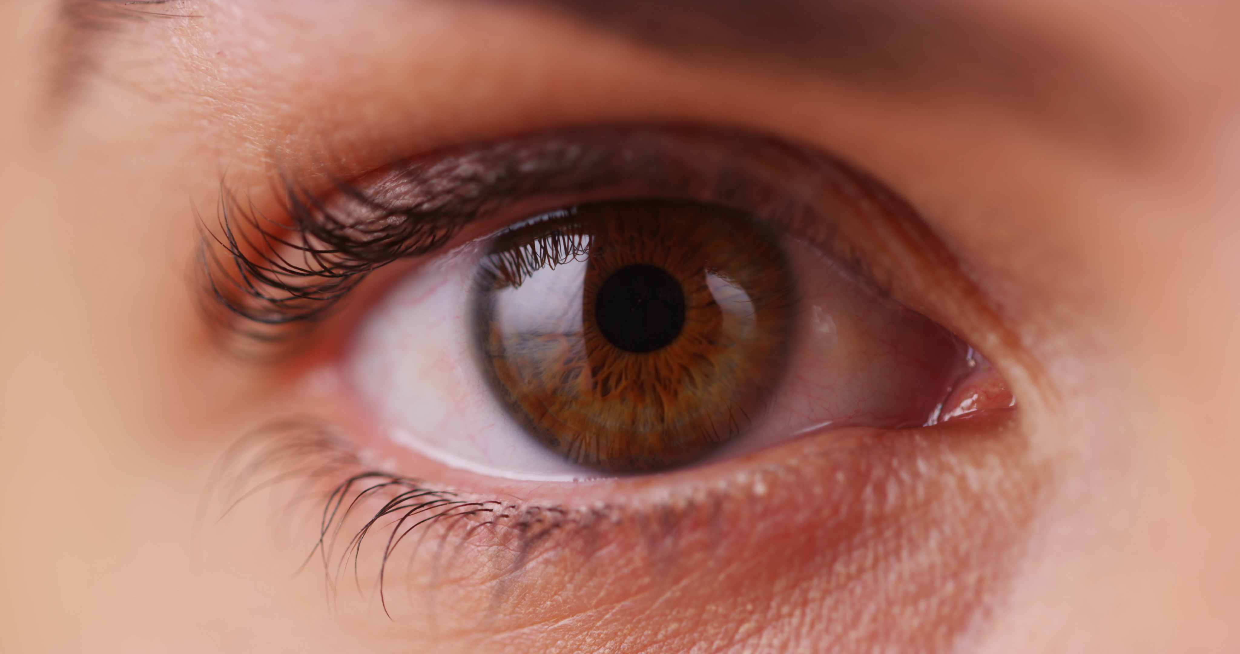 Best Indicators to Know Someone Is Telling the Truth-4