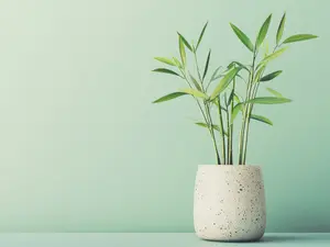 15 Good Luck Plants to Bring Fortune and Fresh Energy to Your Home