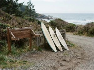 3 Men Get 158 Years Each for Killing Surfing Friends