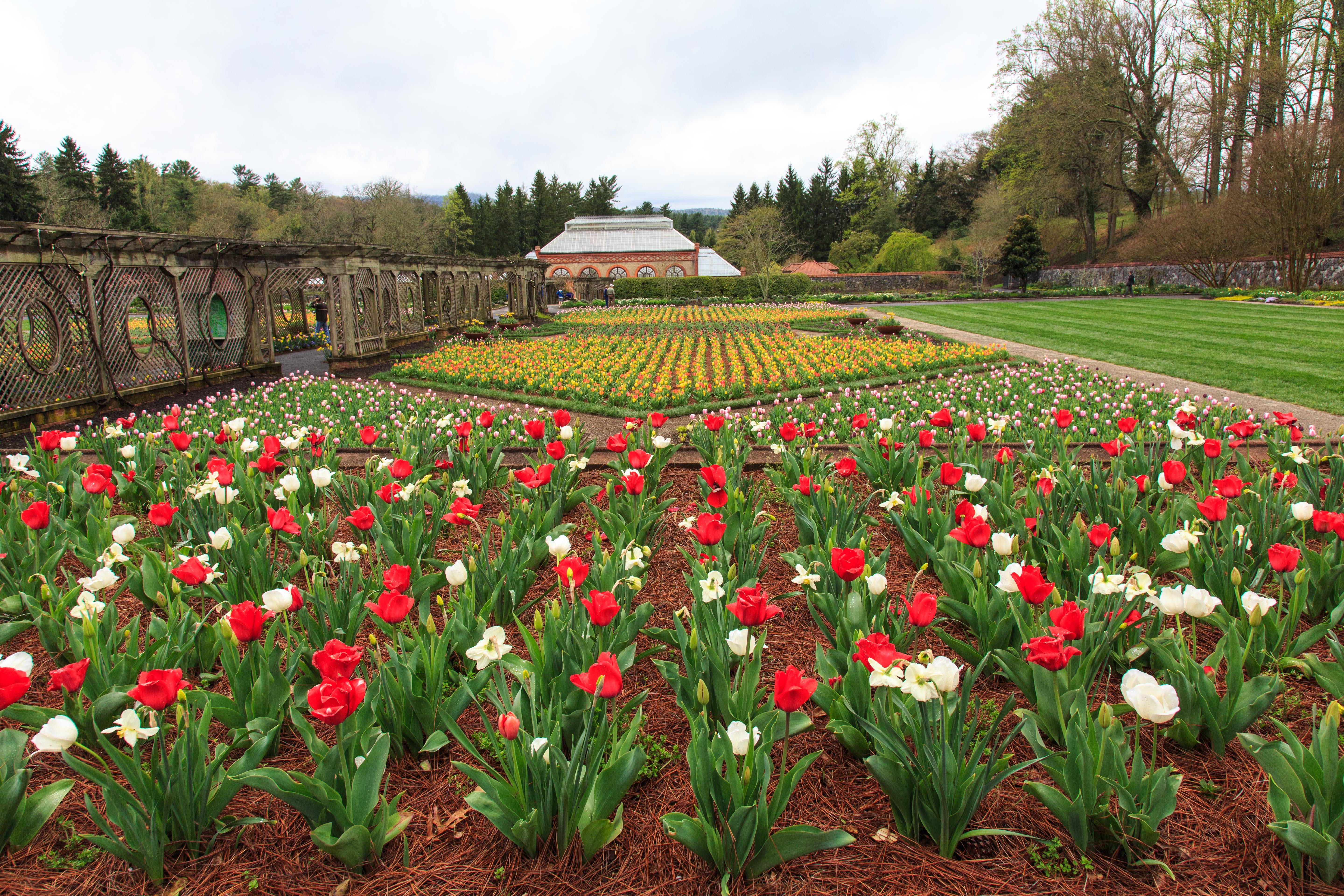 5 Beautiful Gardens You Should Visit-3