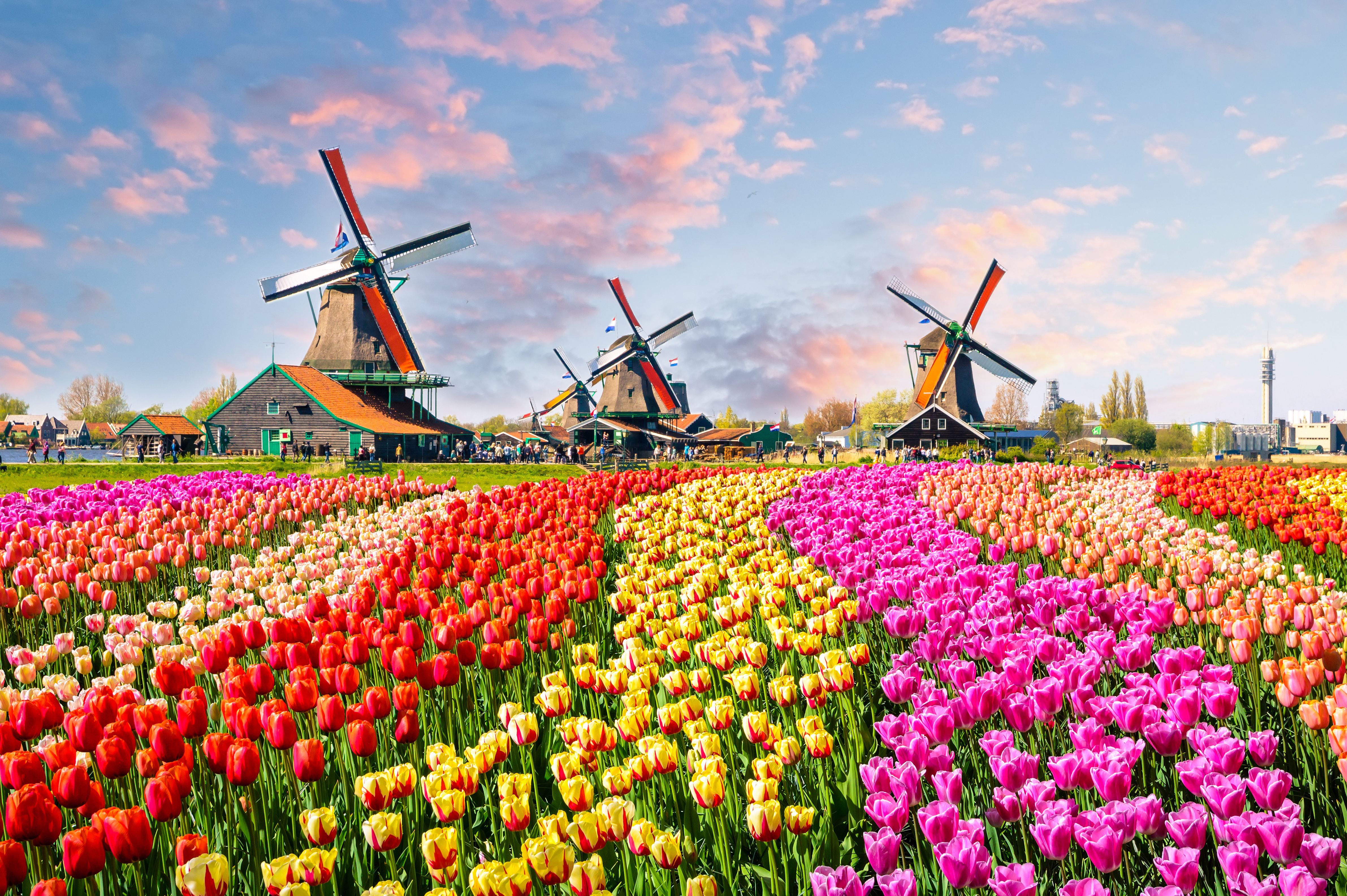 5 Beautiful Gardens You Should Visit-4