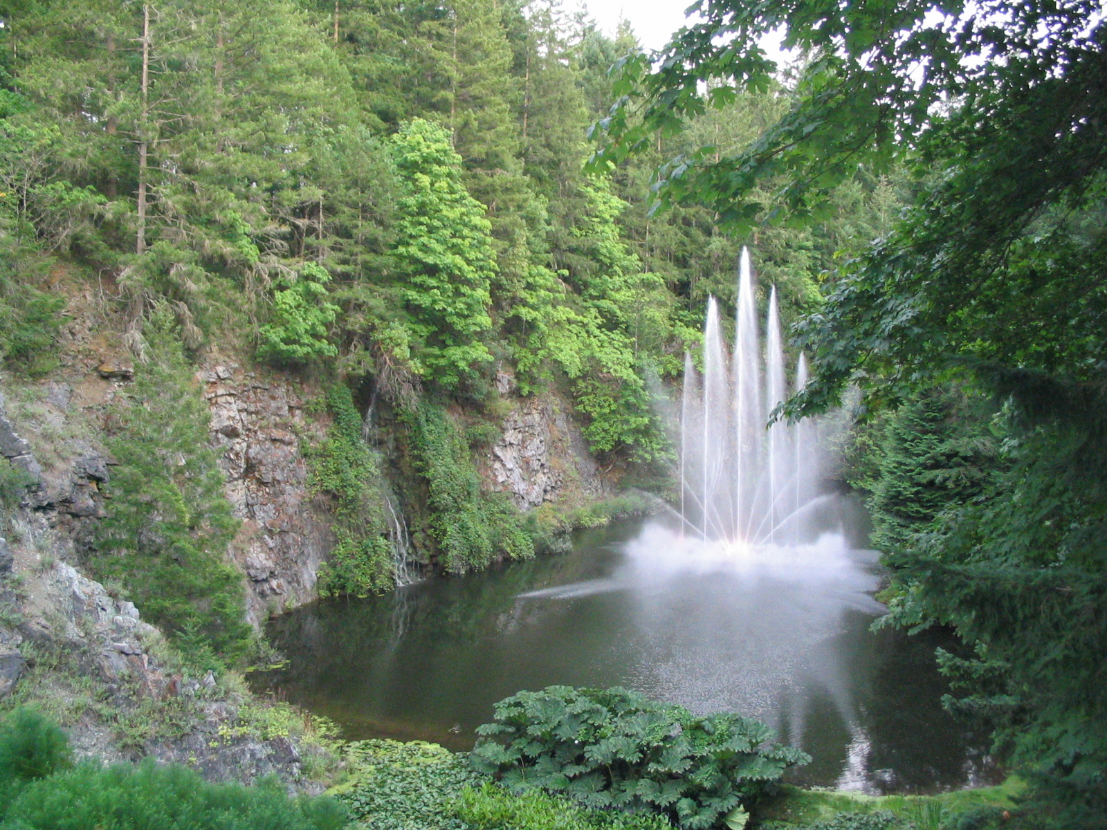 5 Beautiful Gardens You Should Visit-5