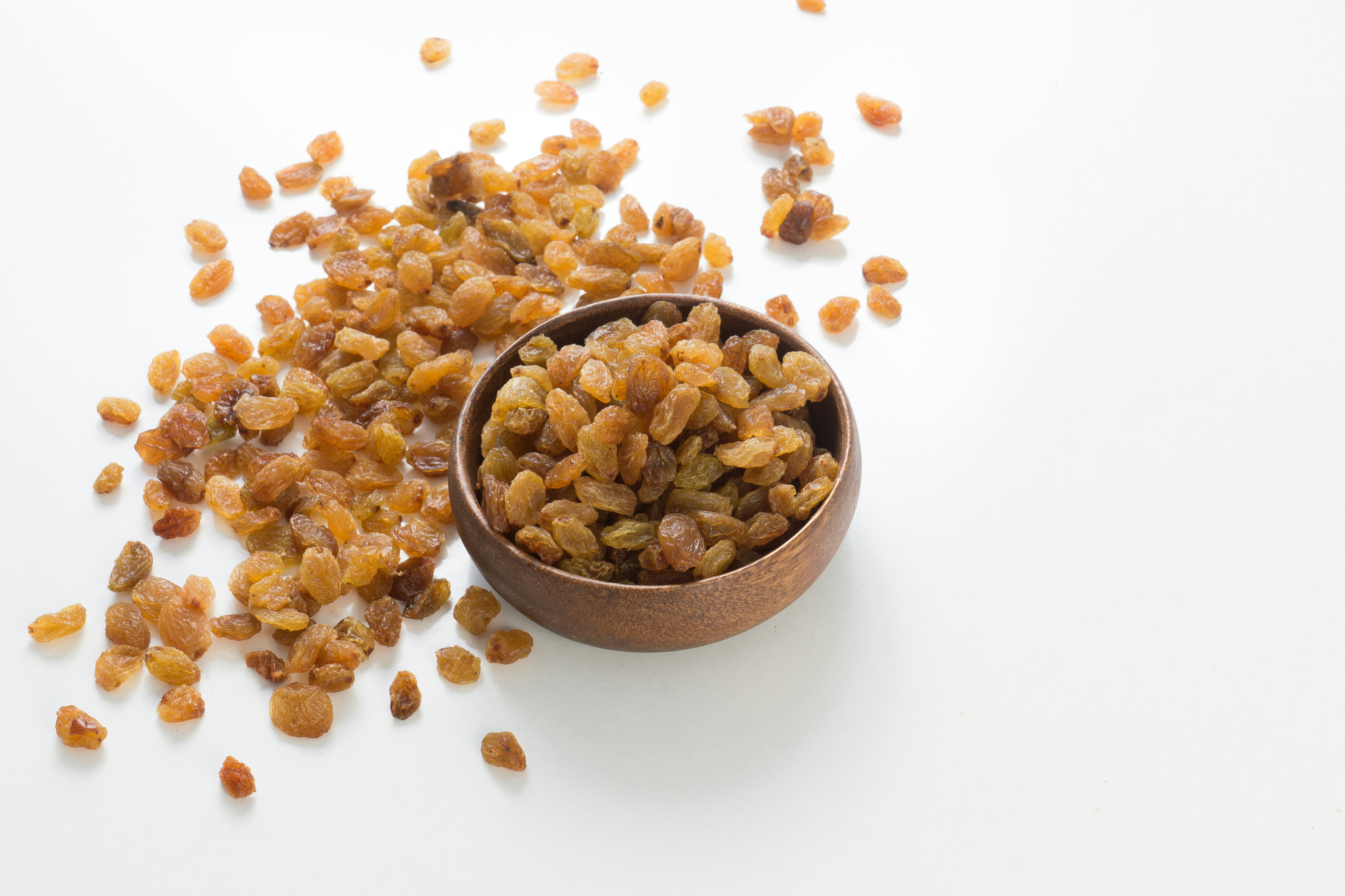 5 Foods Cats Should Never Eat-3