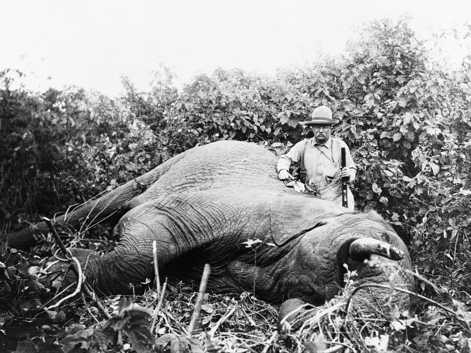 5 Shocking Facts About Trophy Hunting-2