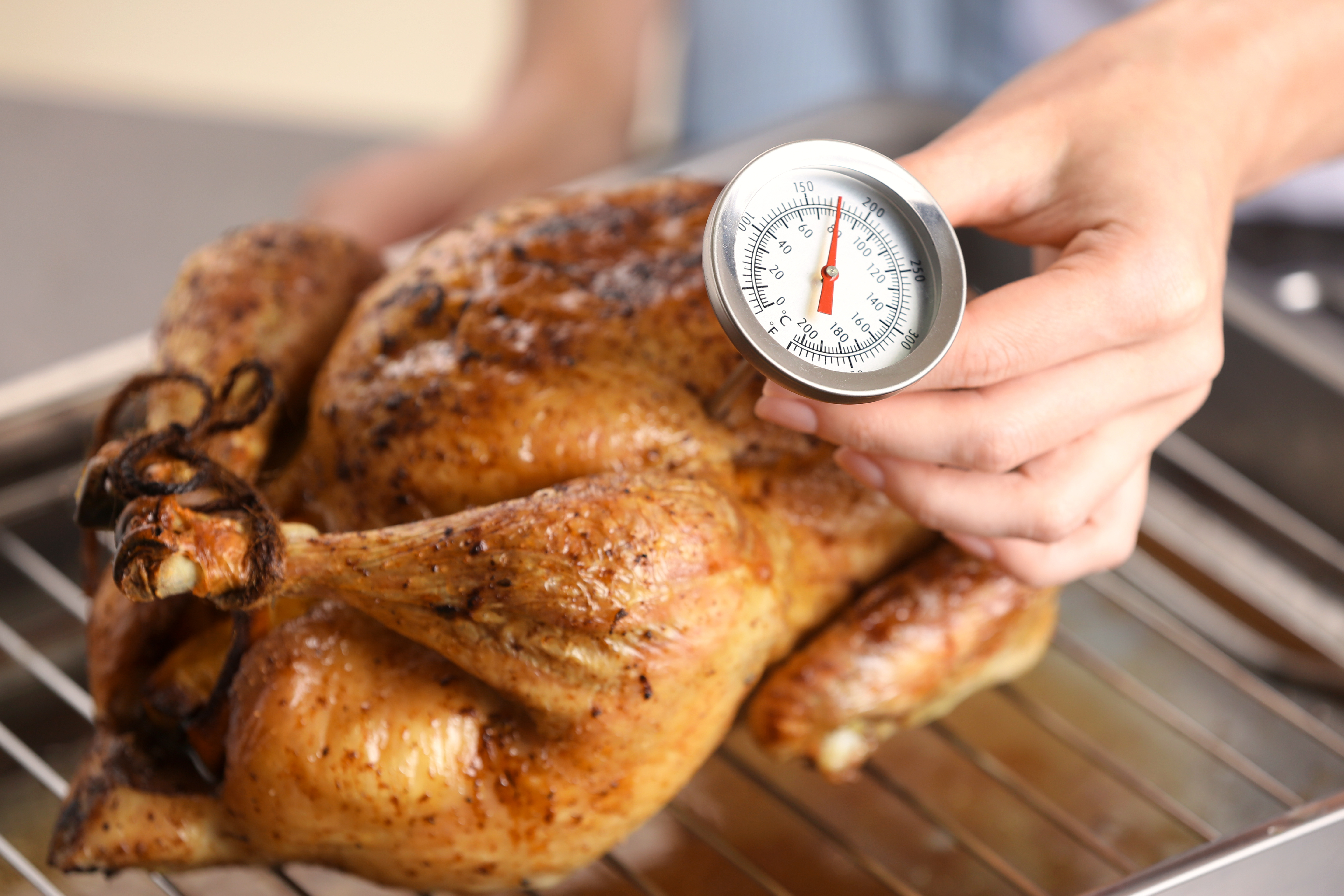 How to Protect Yourself from Salmonella-3