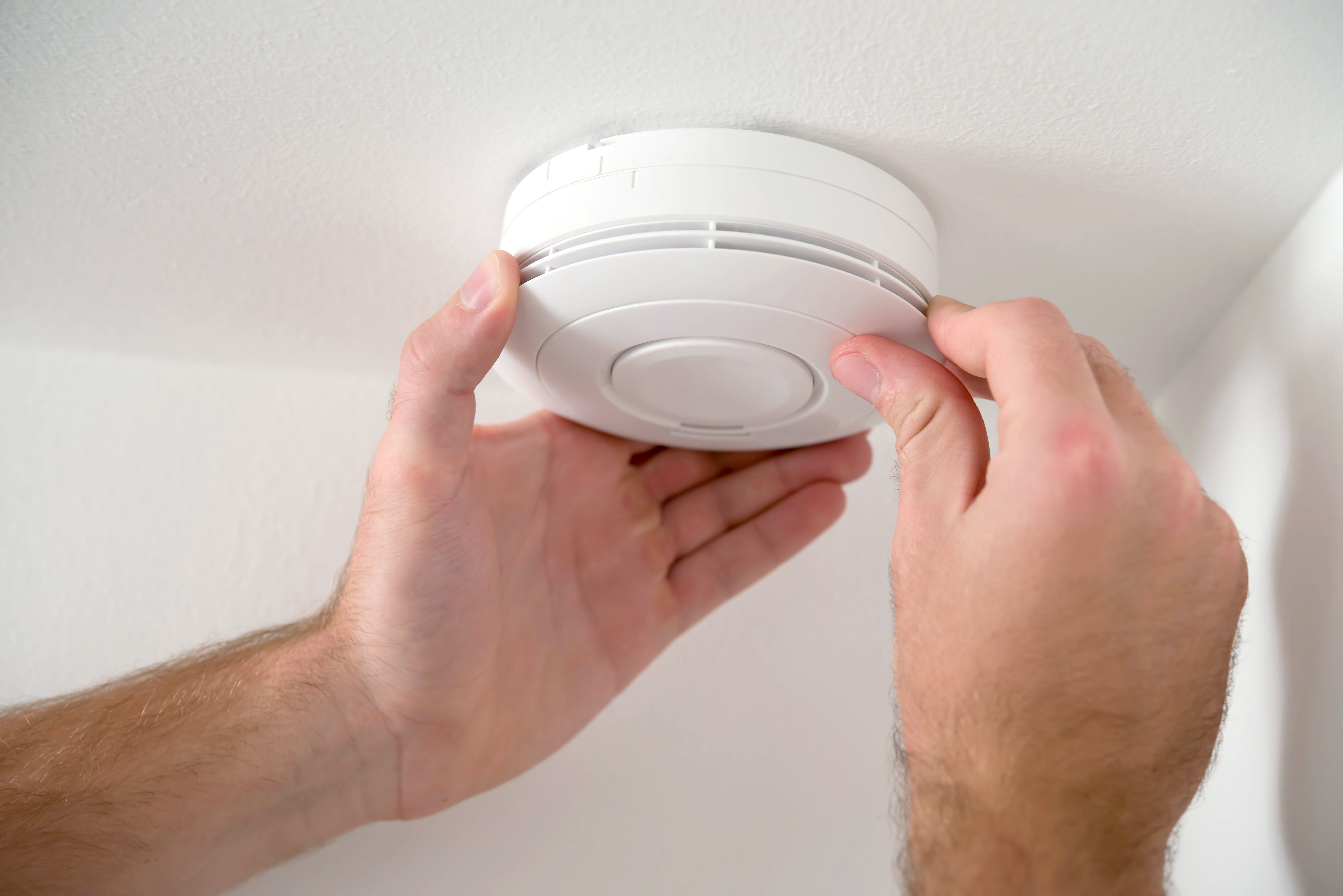 7 Household Staples with Surprising Histories-3