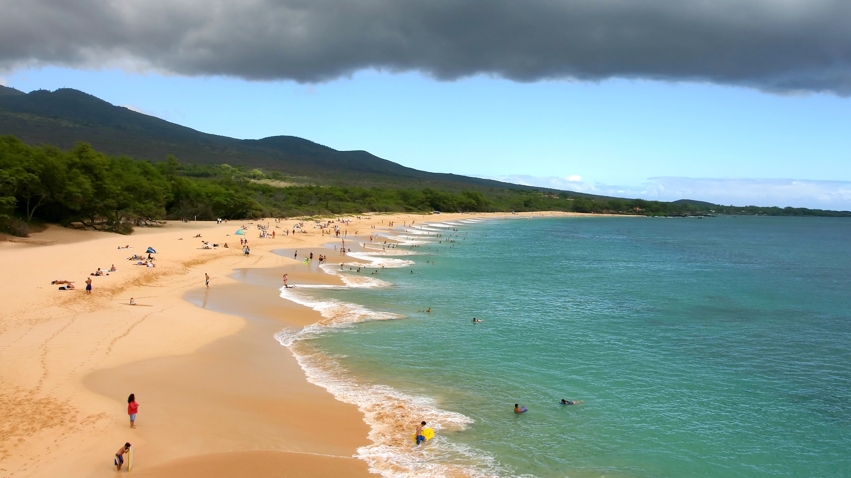 7 of the Most Shark-Infested Beaches in North America-3