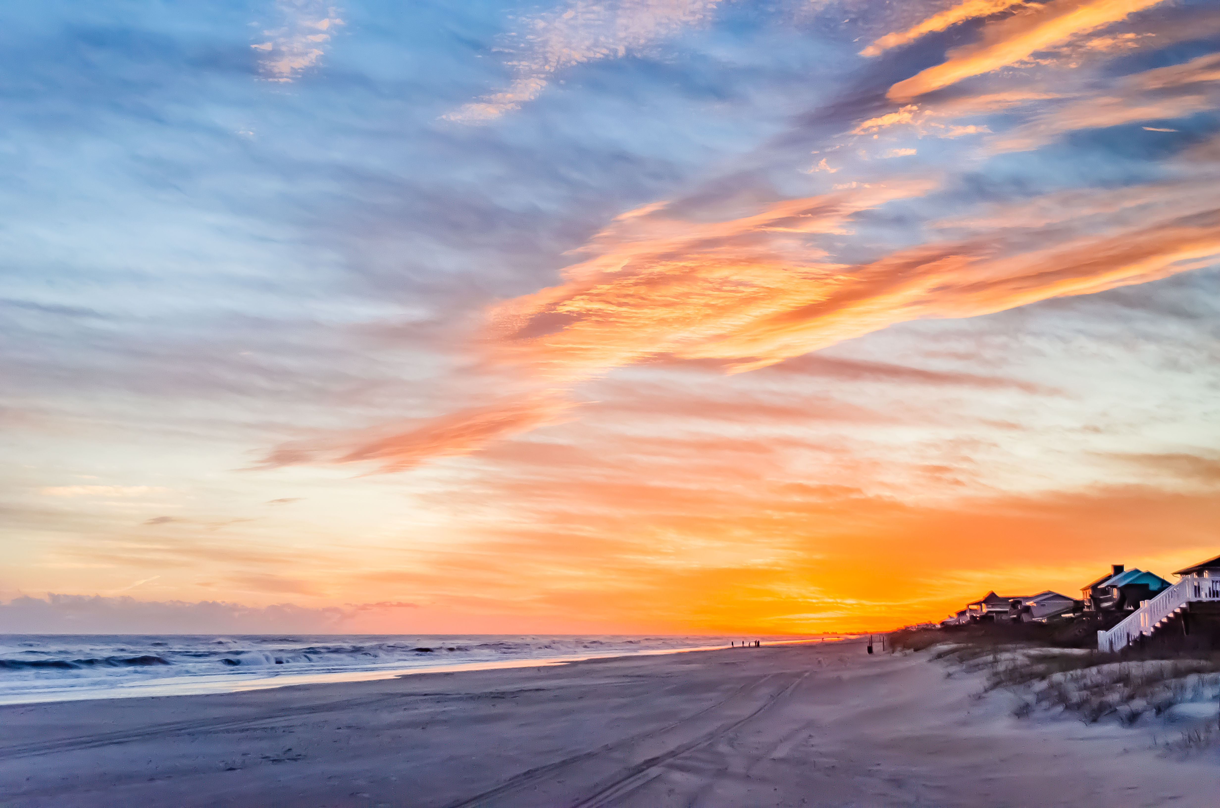 7 of the Most Shark-Infested Beaches in North America-5
