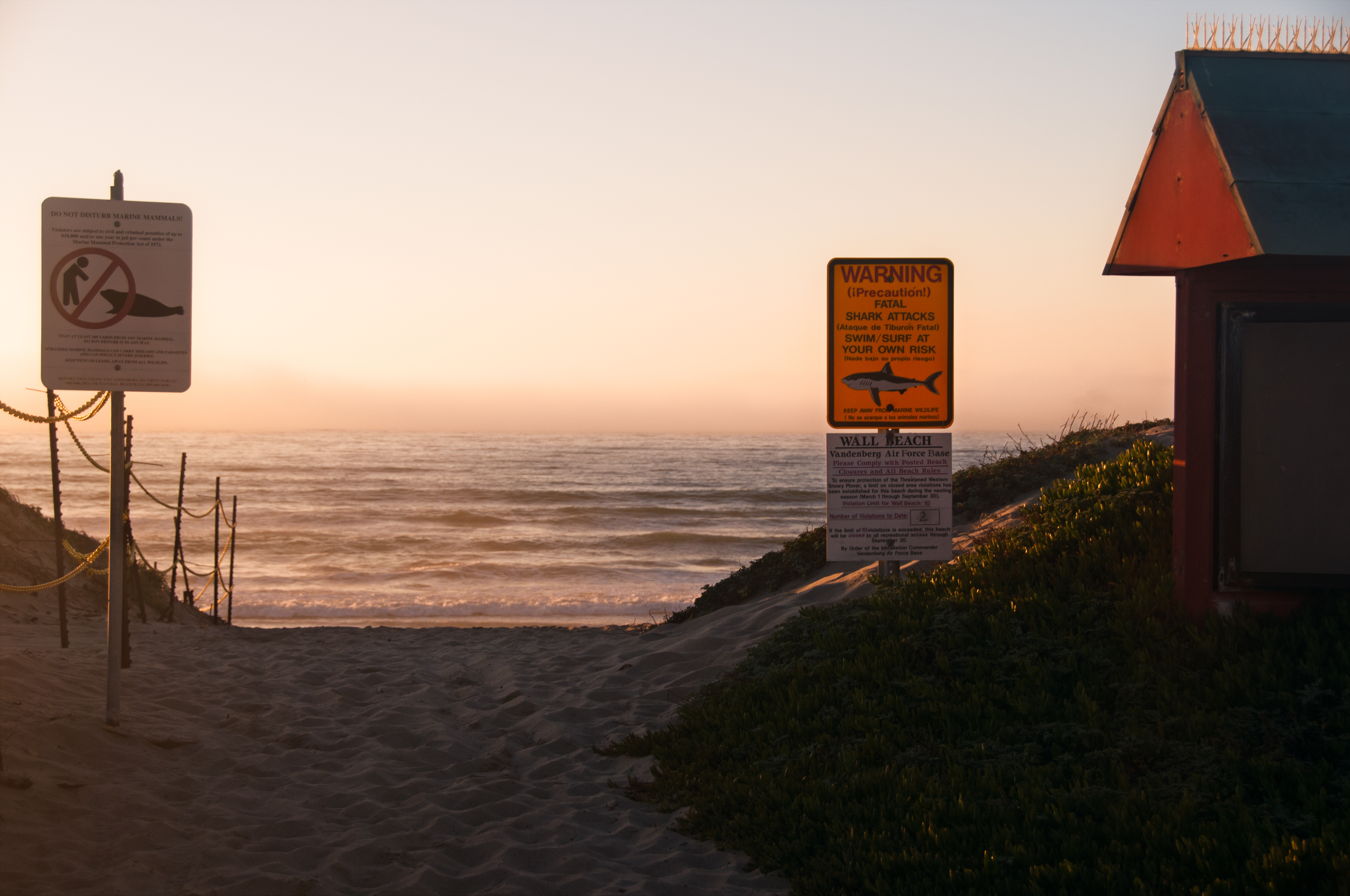 7 of the Most Shark-Infested Beaches in North America-6