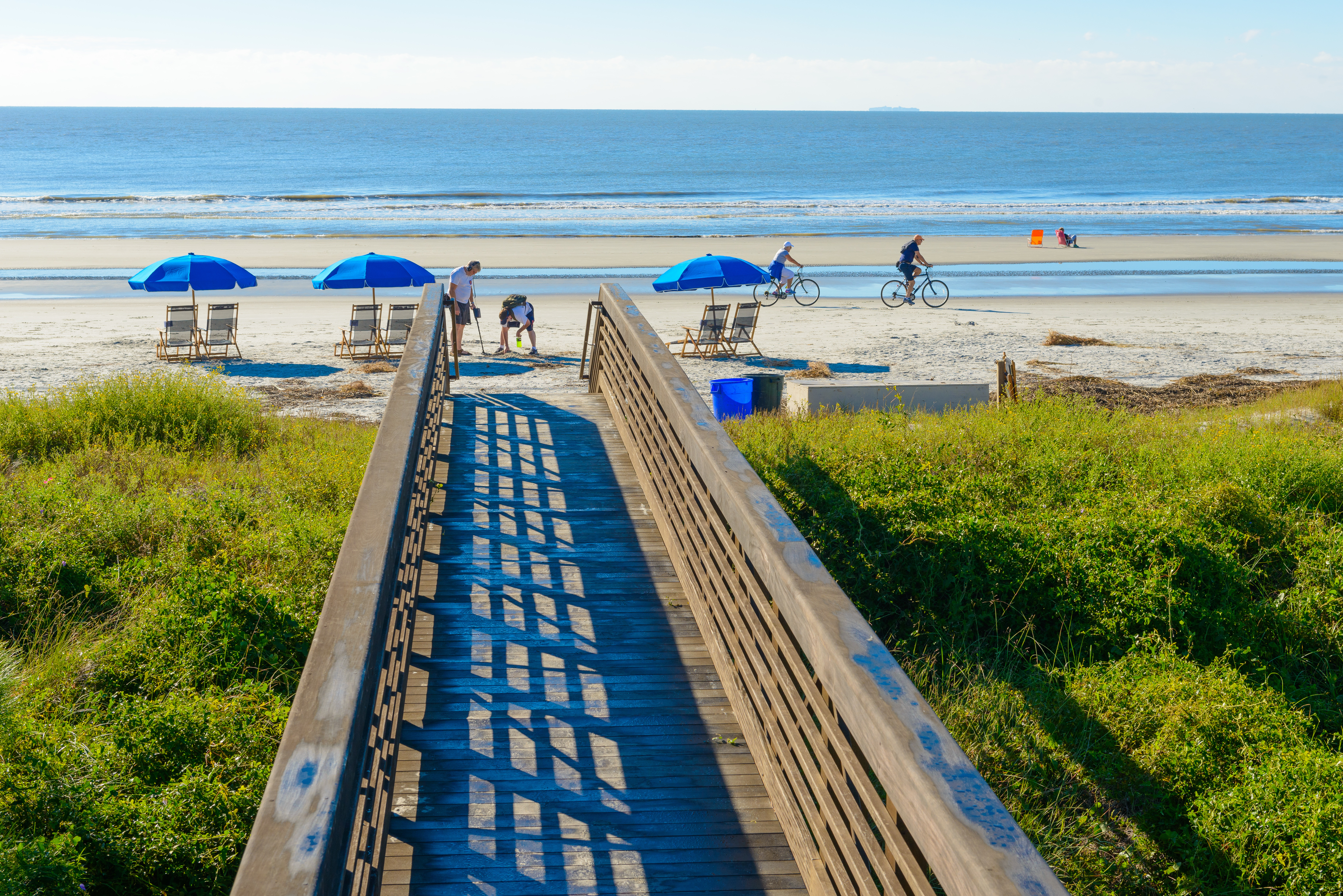 7 of the Most Shark-Infested Beaches in North America-4