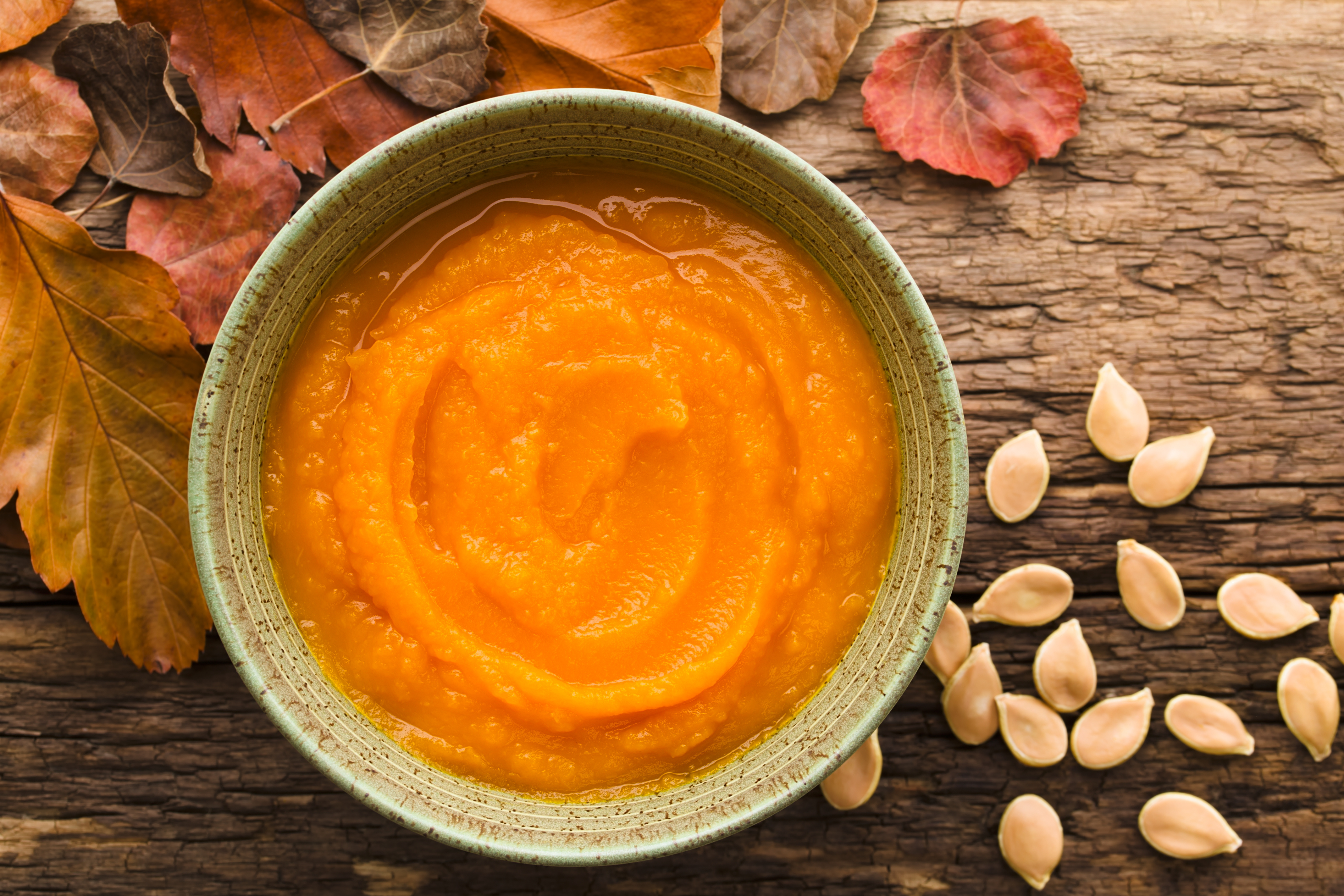 10 Human Foods You Should Feed Your Cat -4