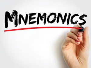8 Tricks to Boost Your Memory