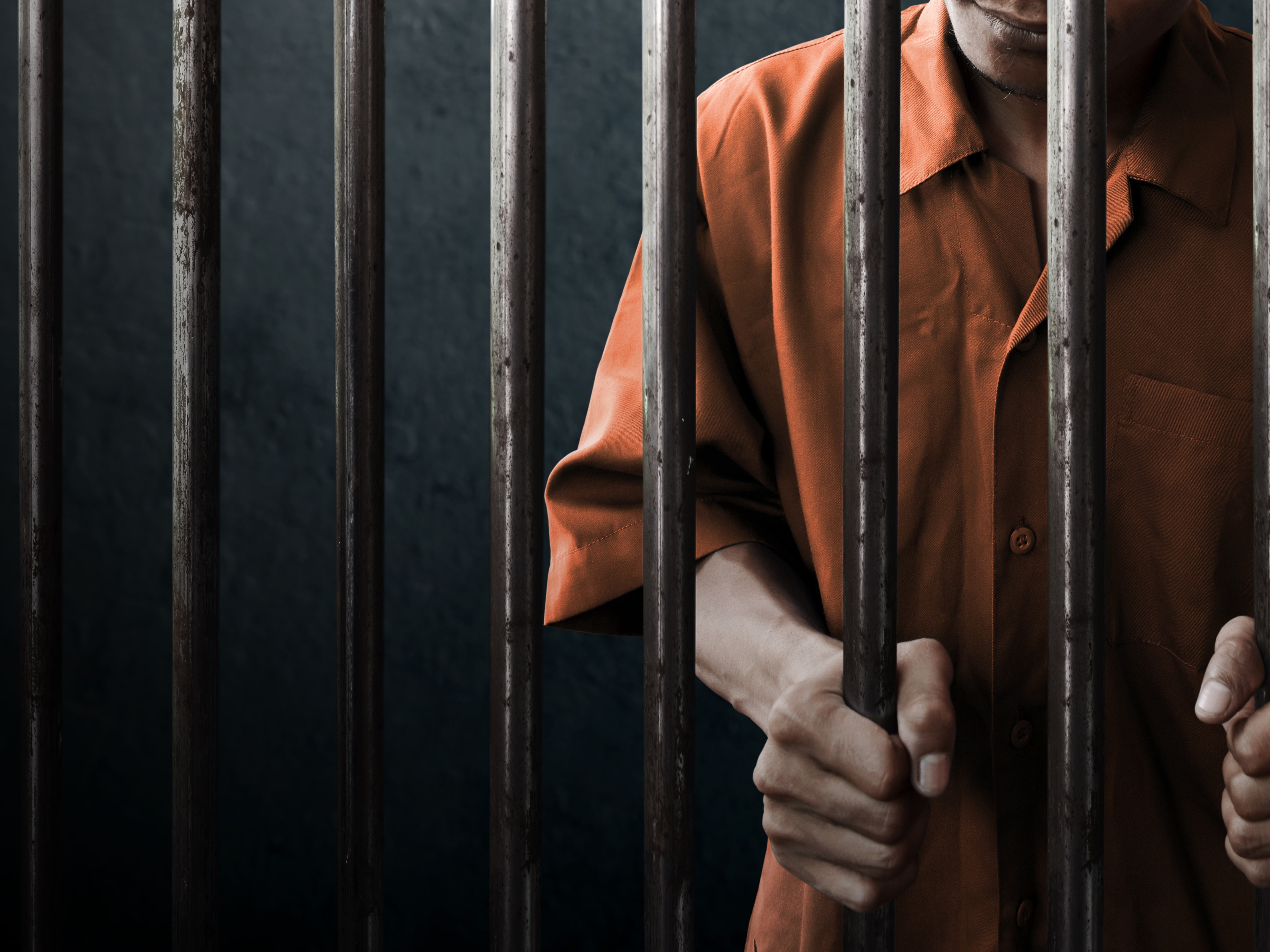 A Stolen ID, a Fake Bear Attack, and a Murder Fugitive's Elaborate Hoax-3