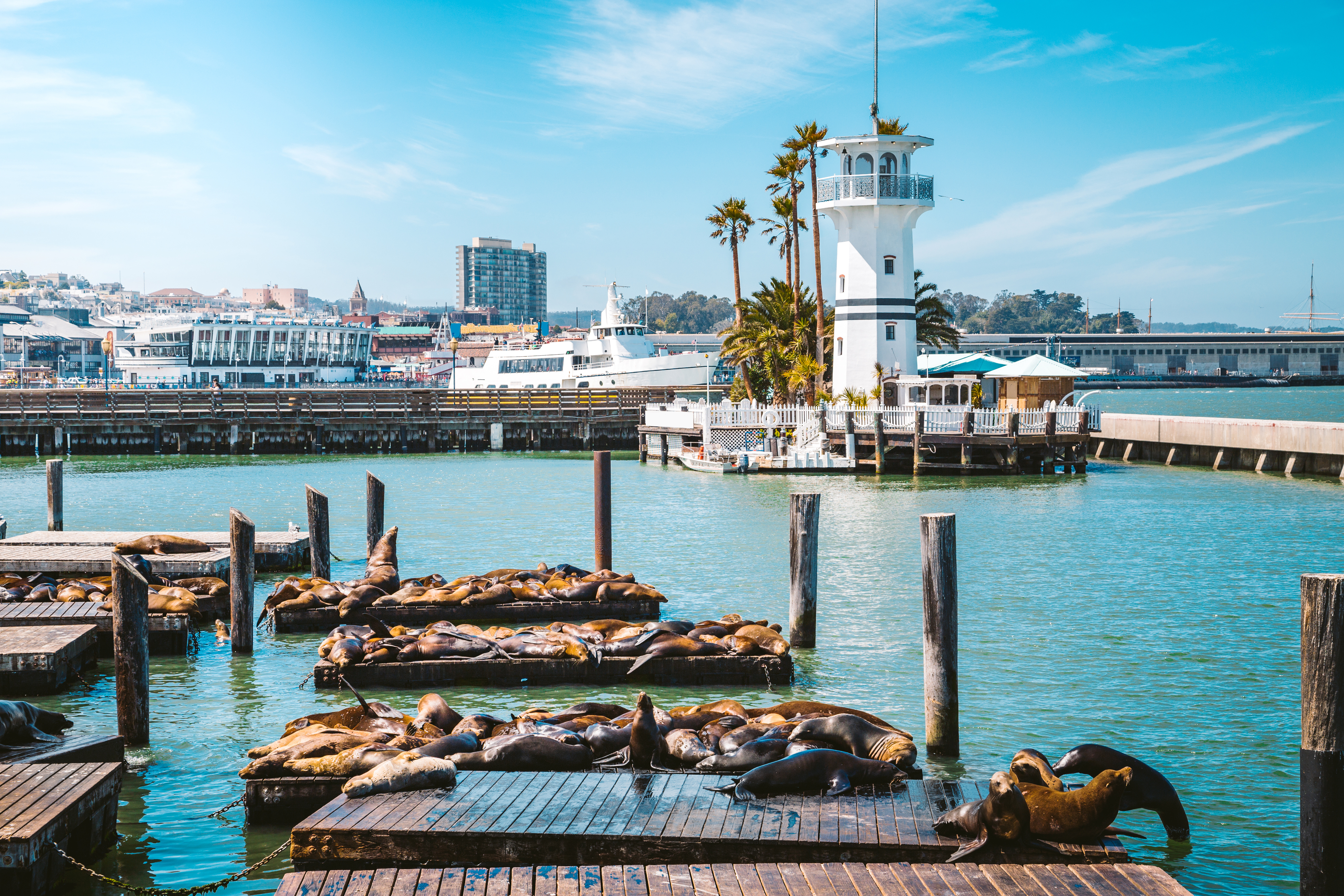 America's Worst Tourist Trap-2