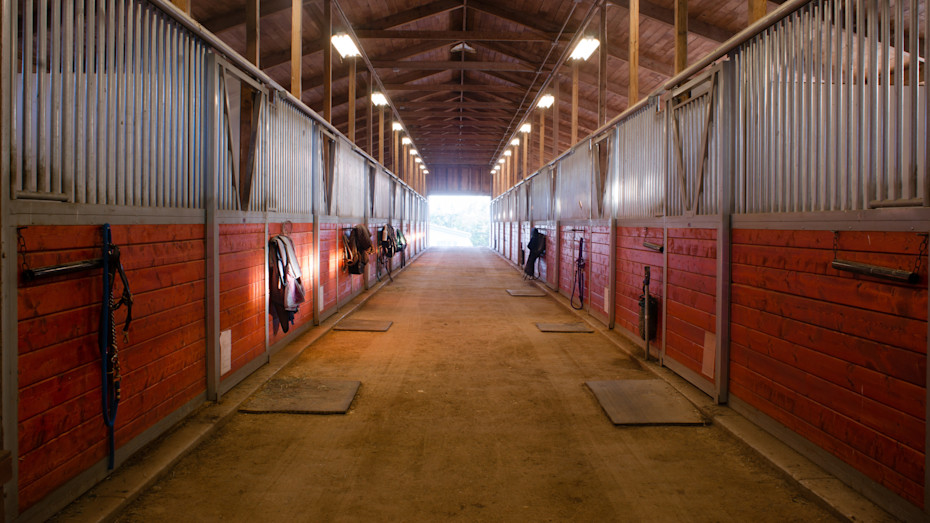 Murder in the Stable: A Deadly Crime of Passion-2