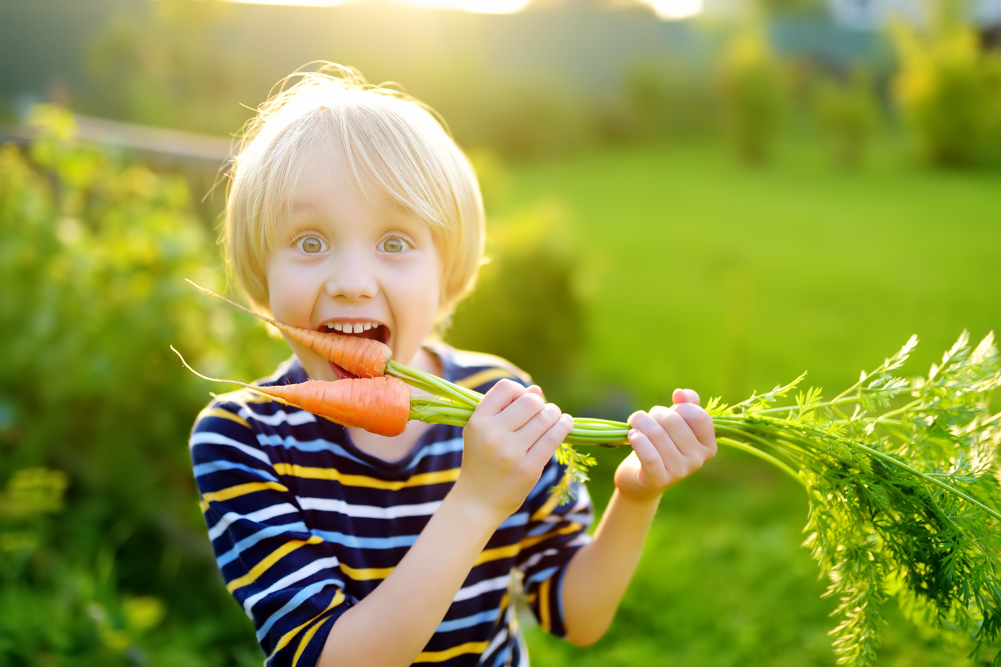 yay carrots!