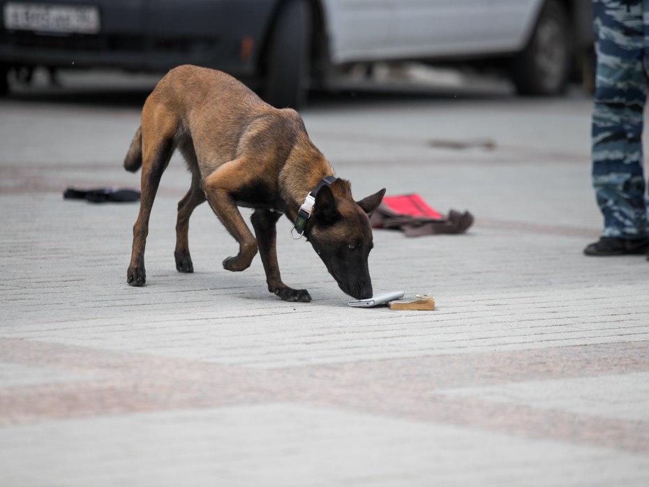 Could Your Hand Odor Solve Crimes?-3