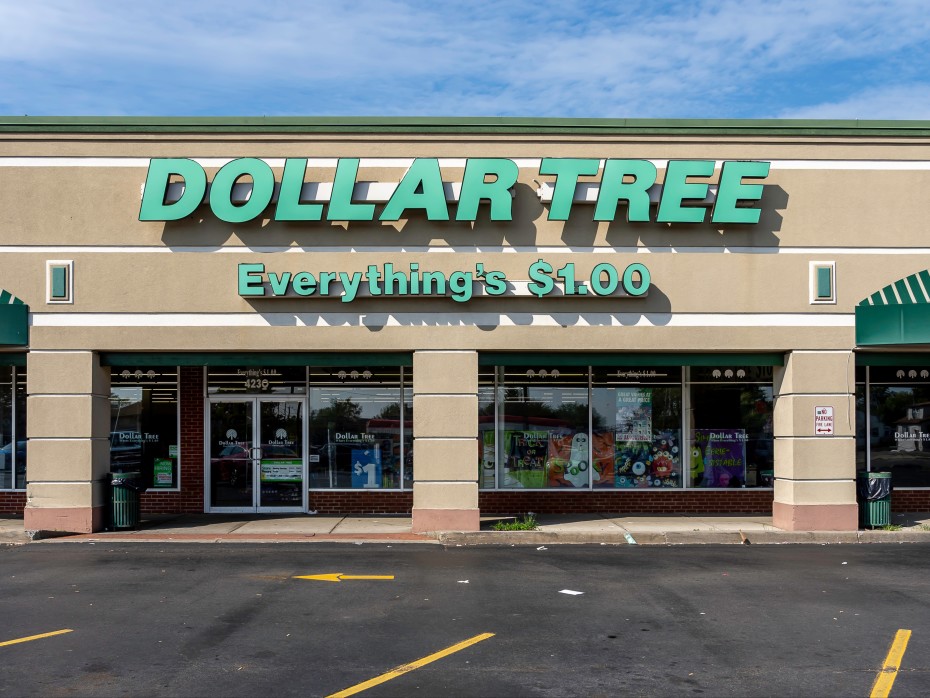 Dollar Tree vs. Dollar General: What's the Difference?-6