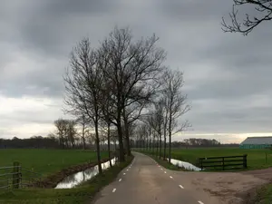 Drunk Grandma Left Baby in Rainy Ditch