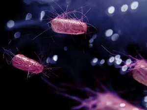 E. Coli Outbreak at McDonald's®: What You Need to Know