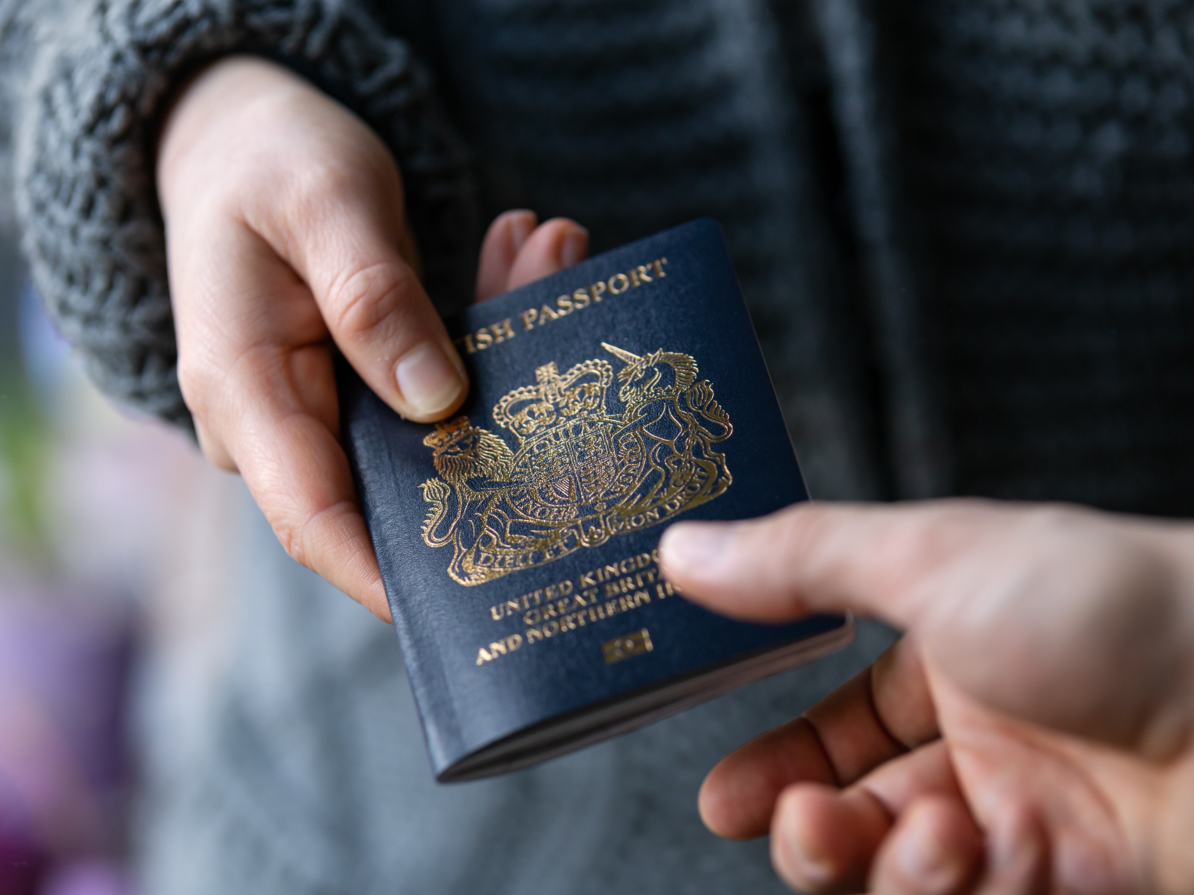 Everything You Should Know About Travel Agency Scams-3