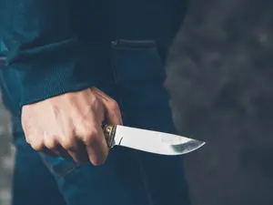 21-Year-Old Woman Butchered in the Night - Suspect Hunted Down in the Woods