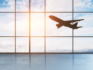 Homeless Man Stabs Stranger in Neck at Airport