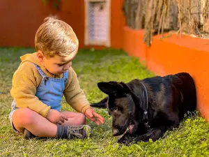 How One Toddler Joined a Puppy Pack