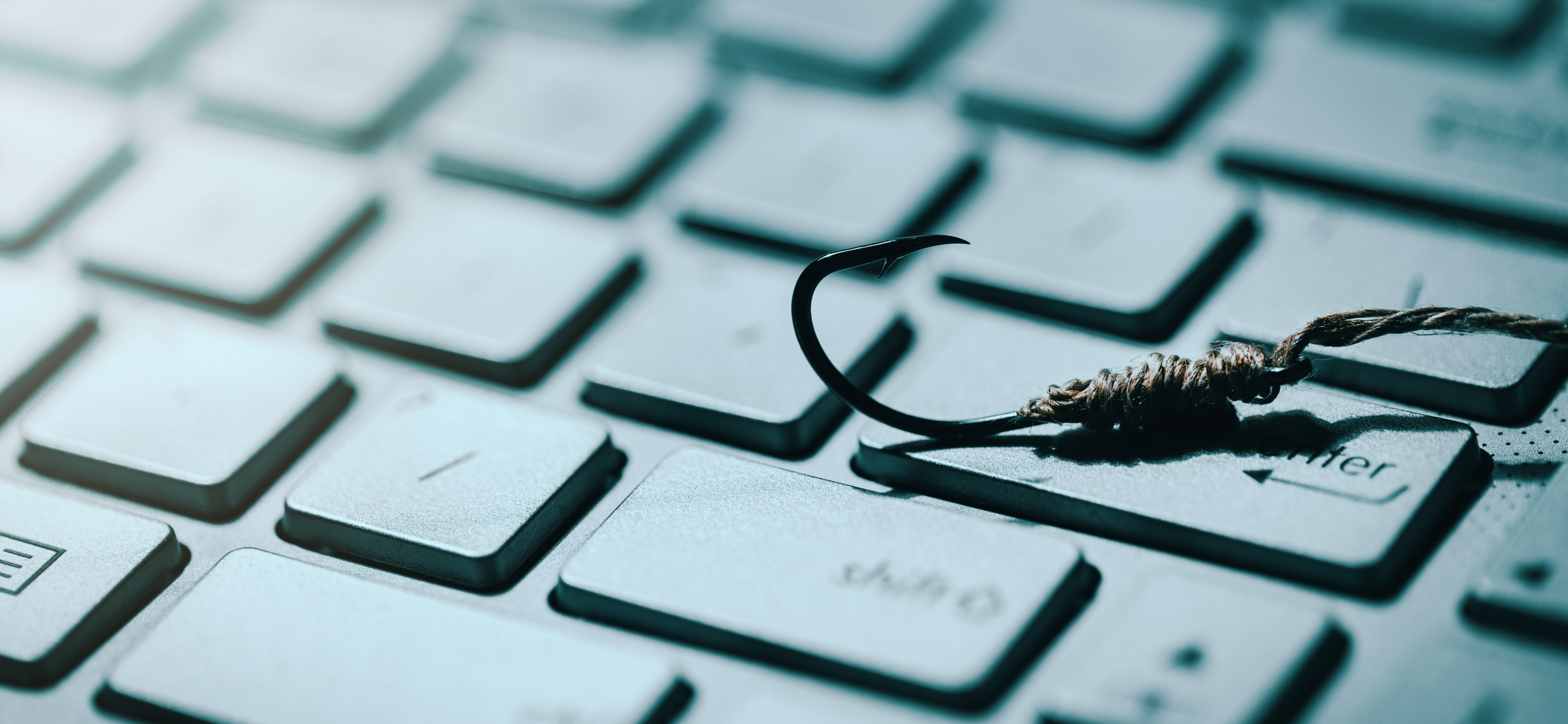 How to Avoid Common Holiday Phishing Scams This Thanksgiving -2