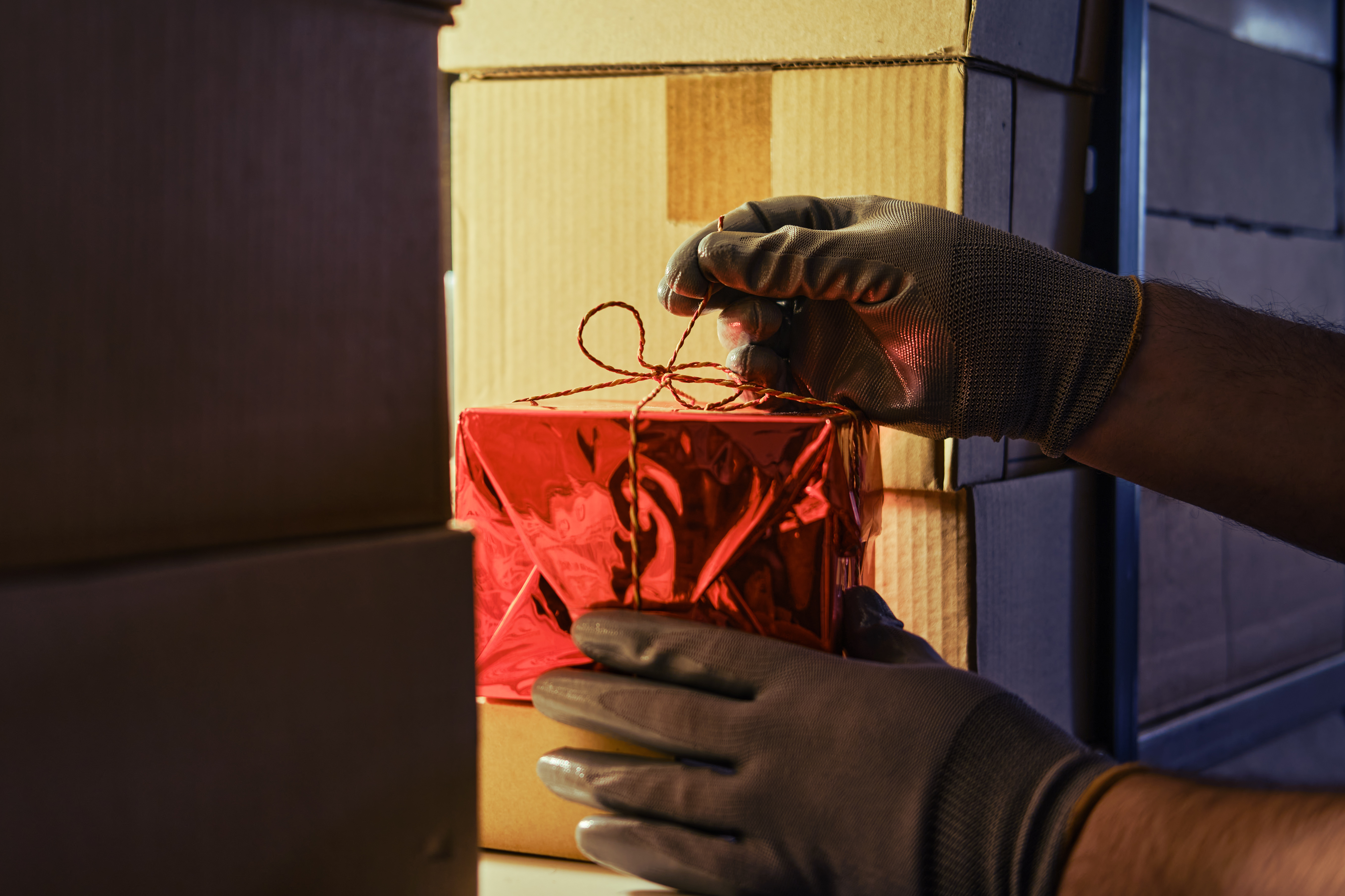 How to Shop Safely Online and Avoid Holiday Scams-2