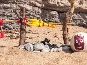 How to Survive on a Desert Island: Expert Tips