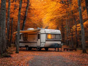 Husband Dismembers Wife on Anniversary Trip