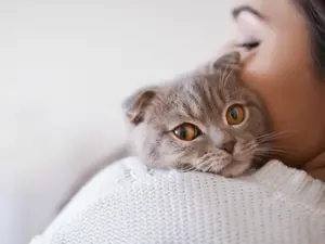 Is Your Cat Talking to You? Decode Your Pet's Body Language