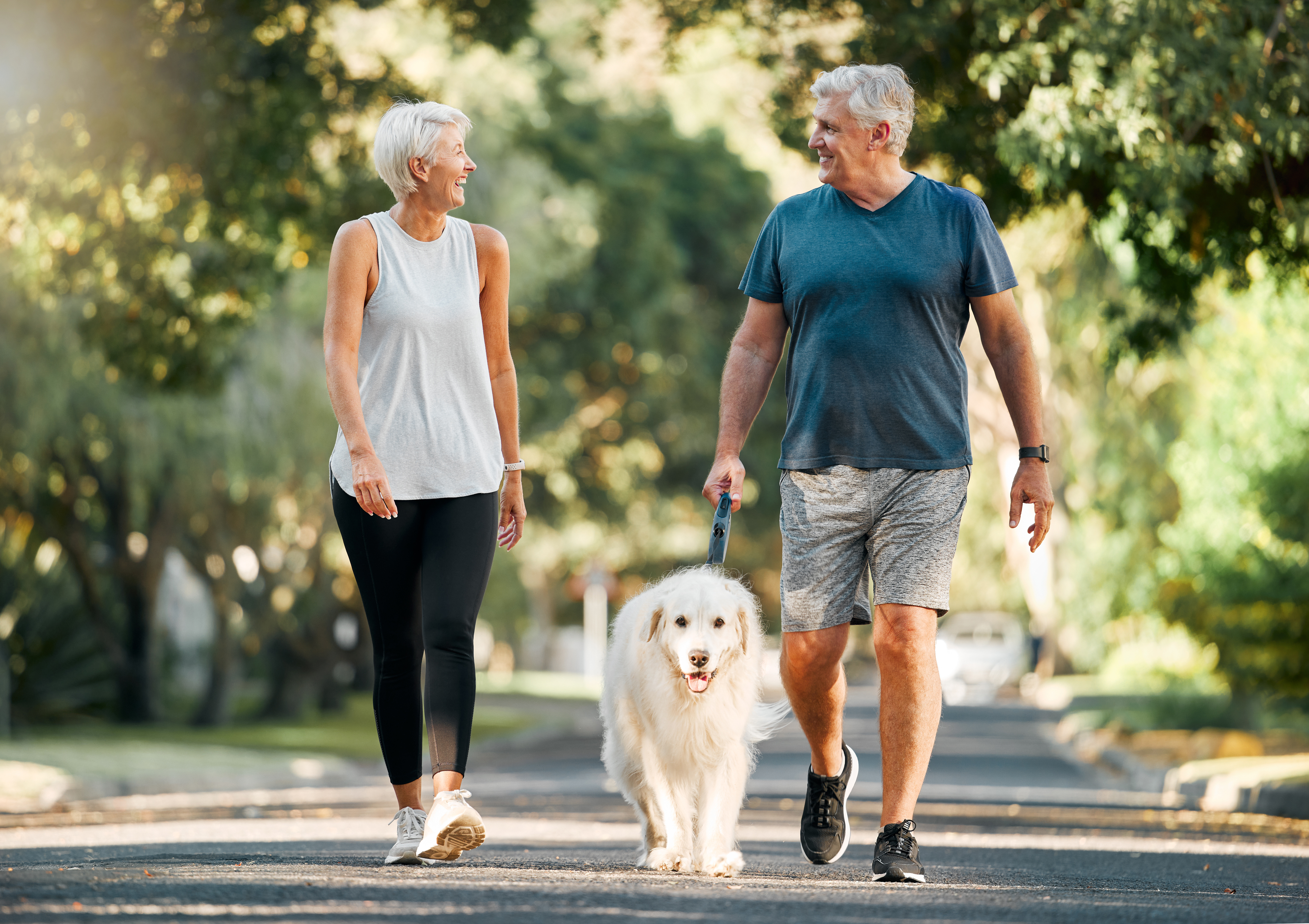 Pets Help Protect Your Brain Against Dementia-2