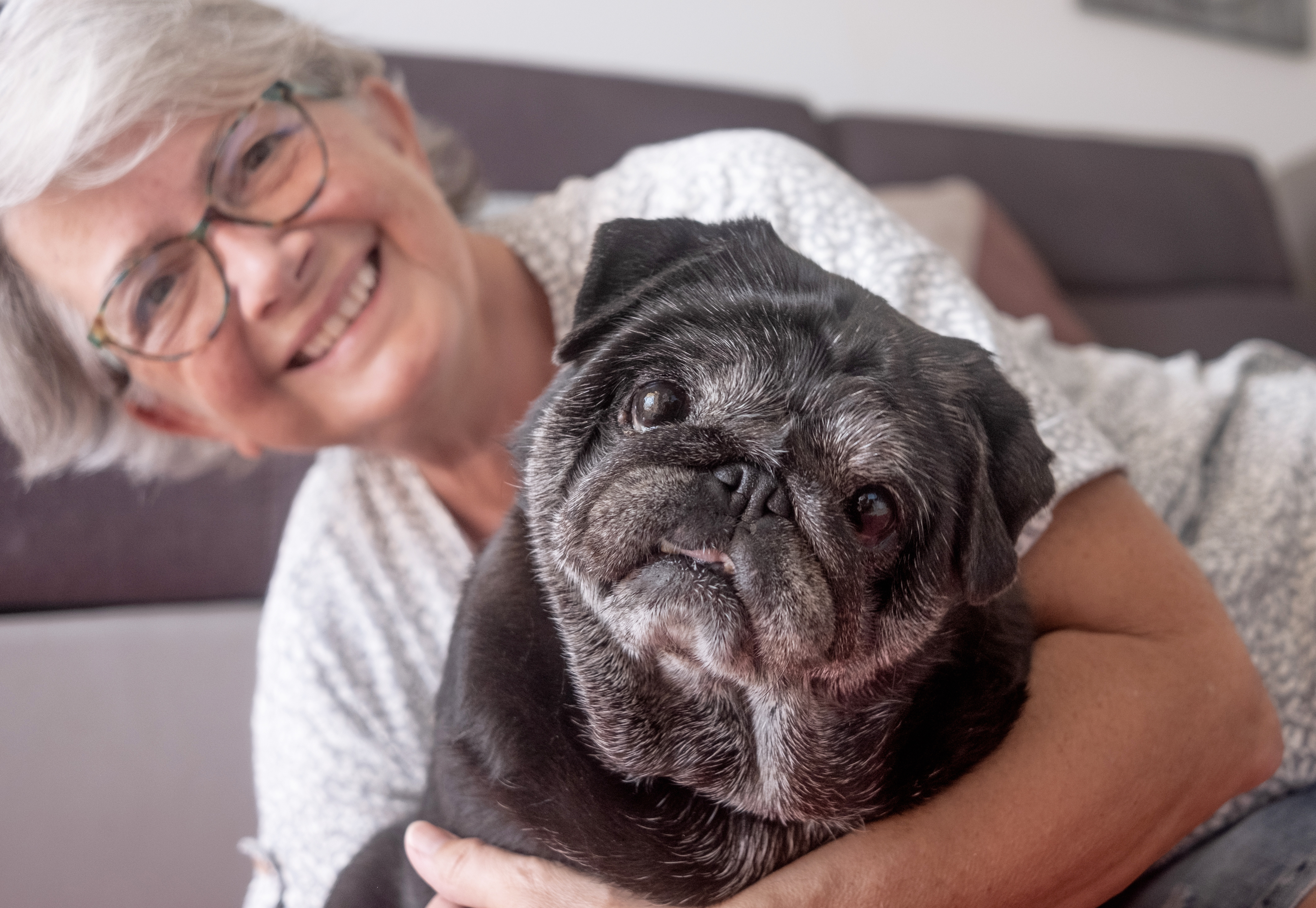 Pets Help Protect Your Brain Against Dementia-3