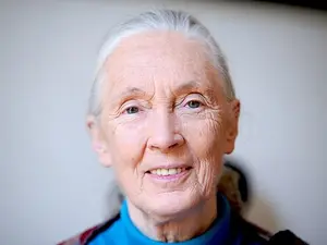 Jane Goodall's Cause of Death Revealed