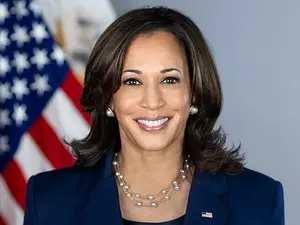 Kamala Harris Reveals 'Sadness' Behind Historic Campaign