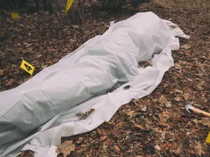 Men Killed and Eaten by Dog-Killing Arsonist