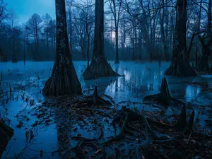 Louisiana's Monster: The Latest on Sean Vincent Gillis