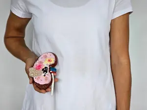 Medical Breakthrough: Woman With Pig Kidney Defies the Odds