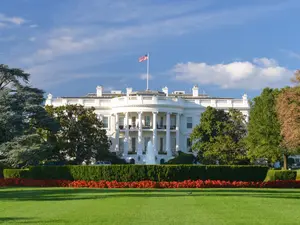 Meet the 20 Babies Born in the White House