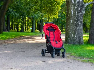 Wife Dead, Baby Rolling Away, Husband in Court