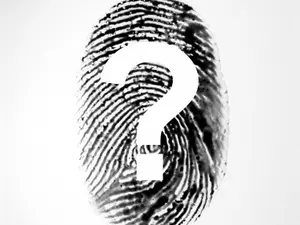 Mysterious Death in Paradise: What Happened to John Bender?