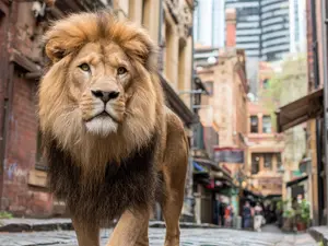 Pet Lion Escapes, Mauls Mother and Kids in Lahore