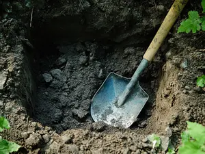 Roommate's Chilling Confession Leads to Gruesome Backyard Discovery