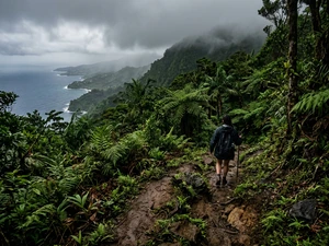 Missing Royal Caribbean Crew Member Found Dead in St. Kitts